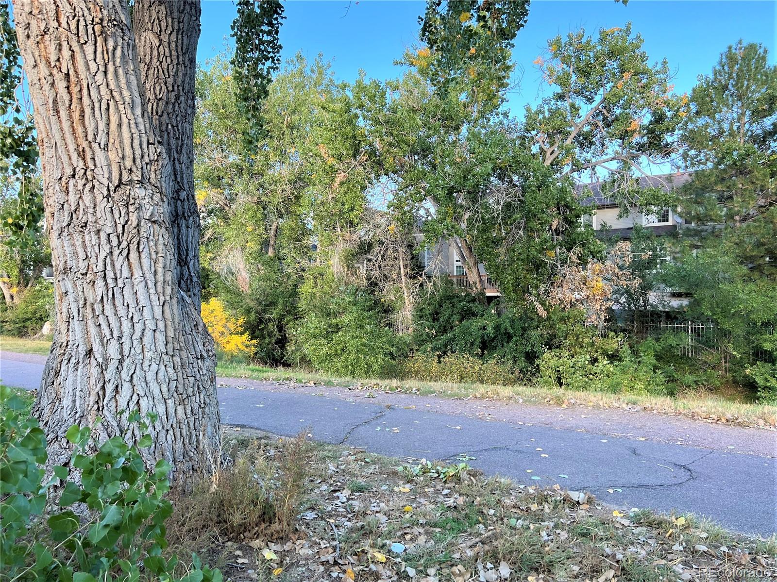 MLS Image #29 for 1470 s quebec way,denver, Colorado
