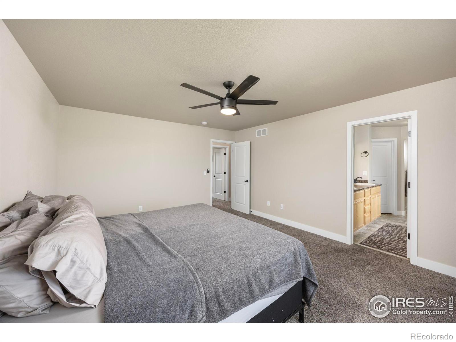 MLS Image #19 for 2272  graceful street,windsor, Colorado