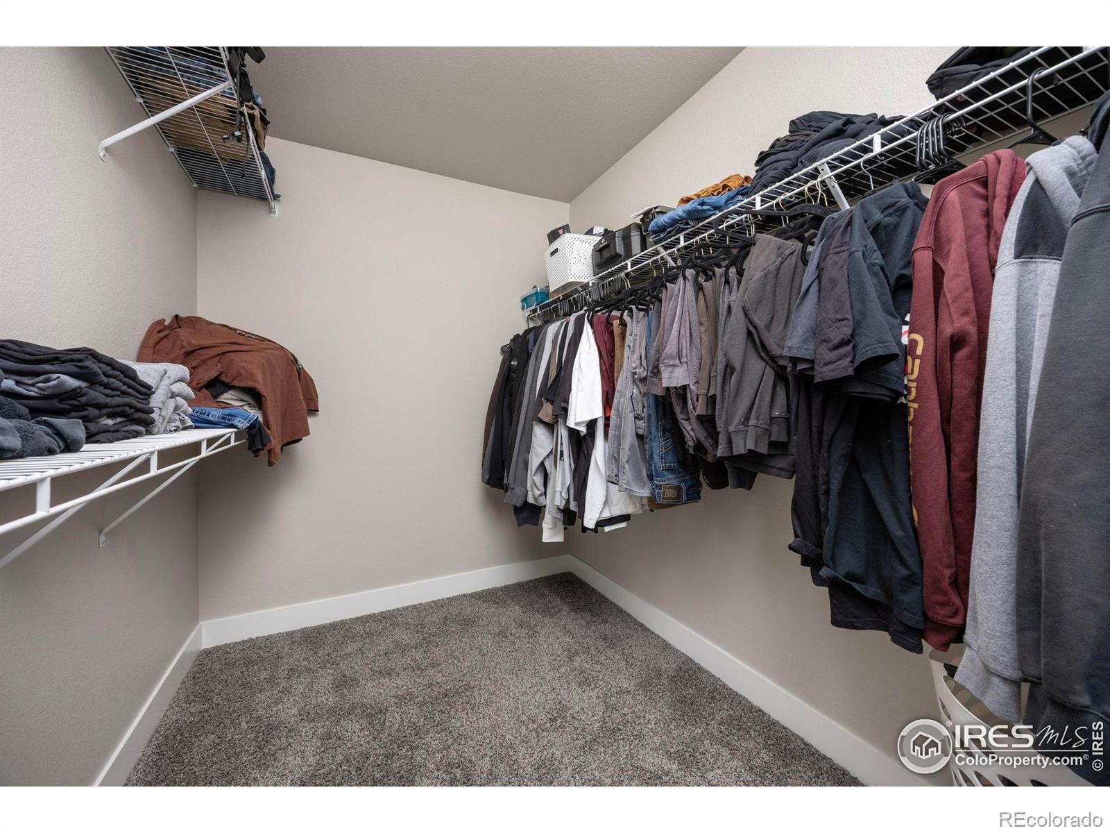 MLS Image #22 for 2272  graceful street,windsor, Colorado