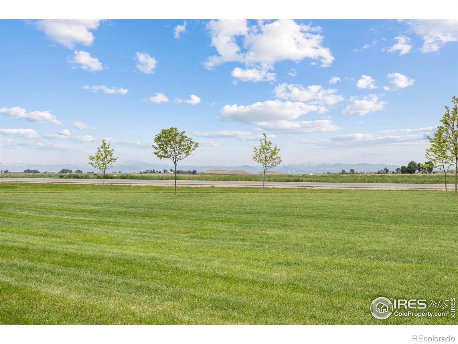 MLS Image #30 for 2272  graceful street,windsor, Colorado