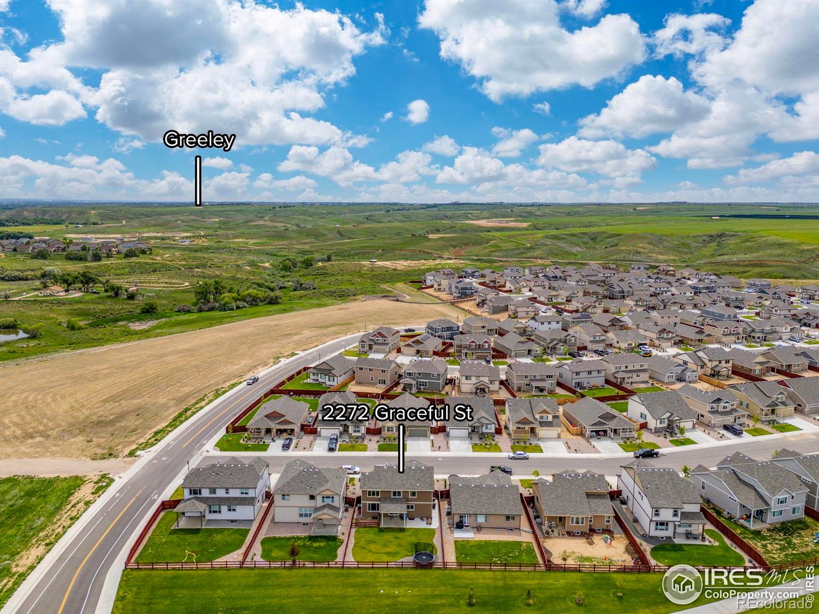 MLS Image #33 for 2272  graceful street,windsor, Colorado