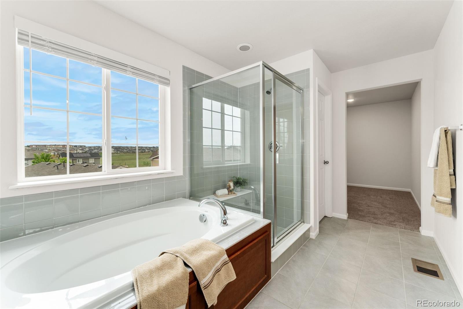 MLS Image #24 for 4666 s malaya court,aurora, Colorado