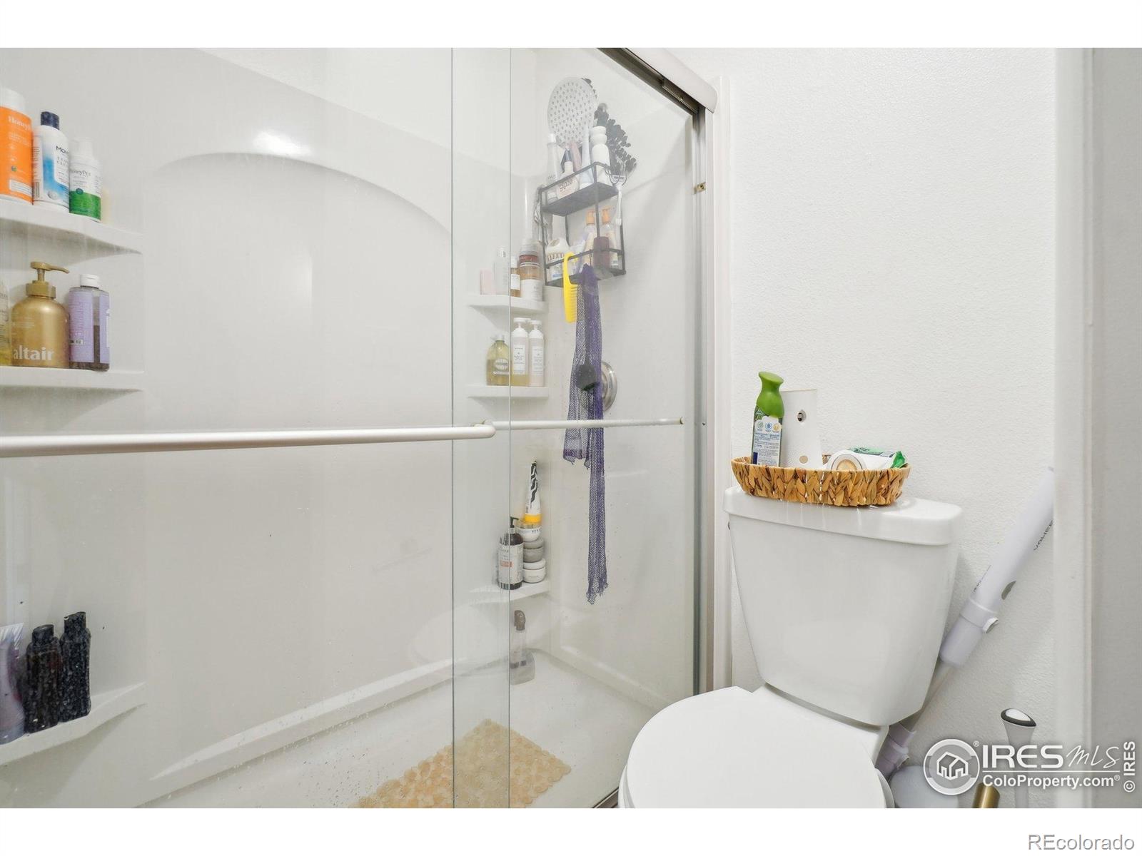 MLS Image #16 for 3431  stover street,fort collins, Colorado
