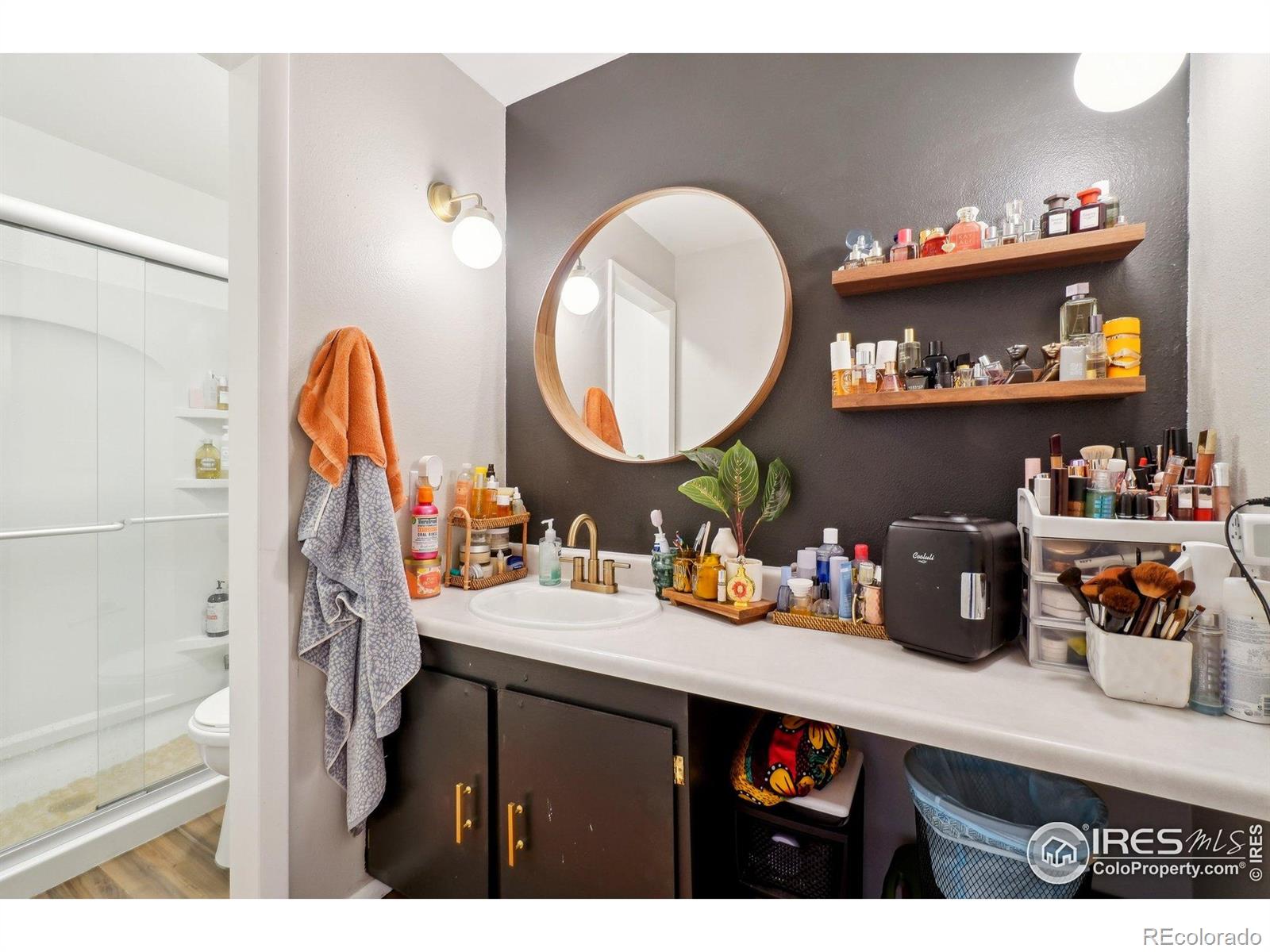 MLS Image #17 for 3431  stover street,fort collins, Colorado