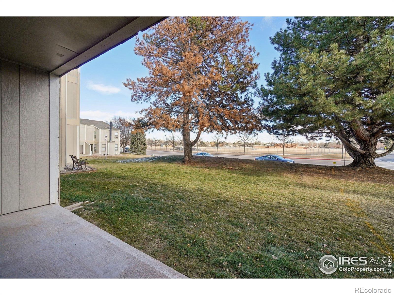 MLS Image #18 for 3431  stover street,fort collins, Colorado