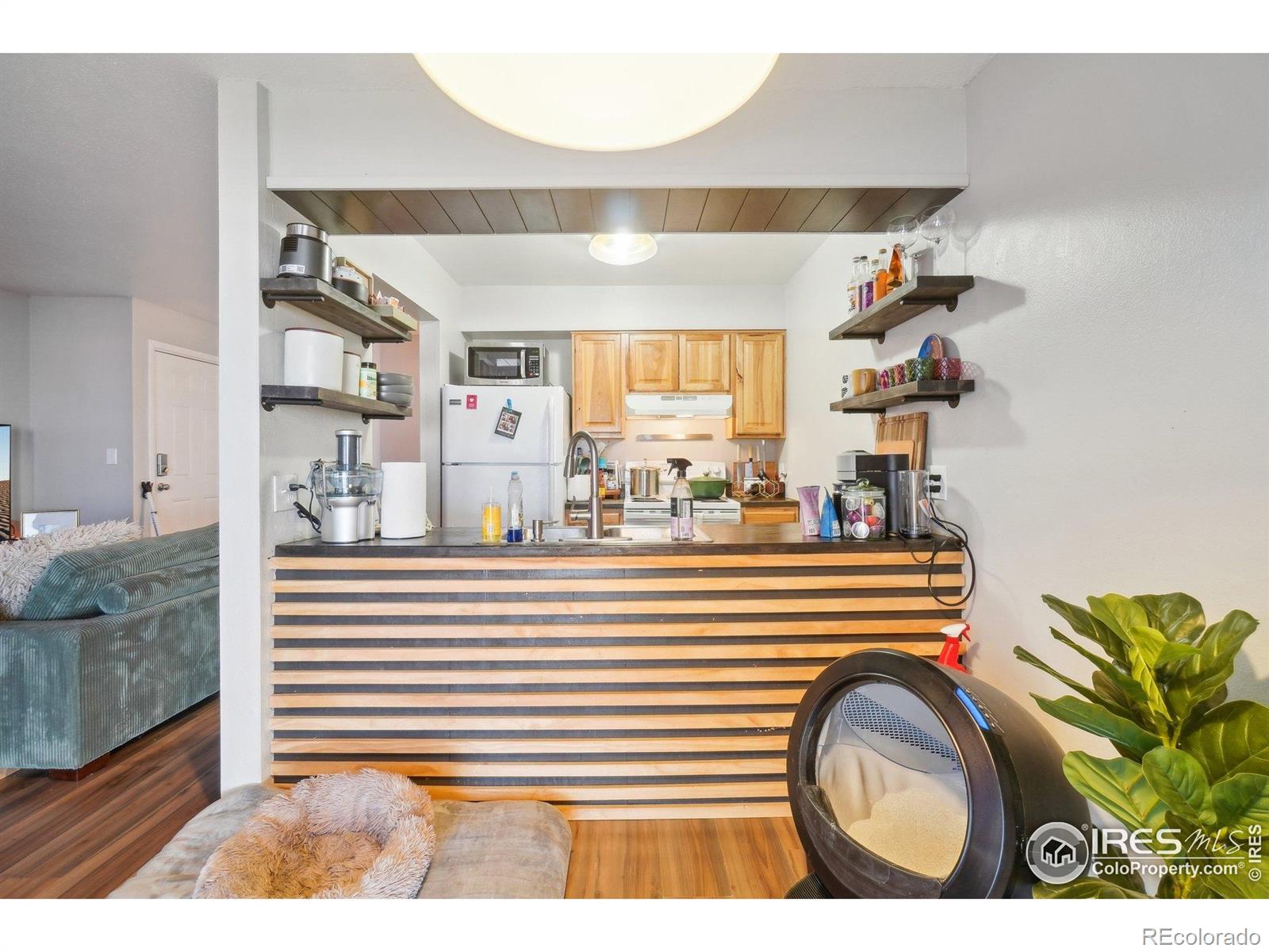 MLS Image #7 for 3431  stover street,fort collins, Colorado