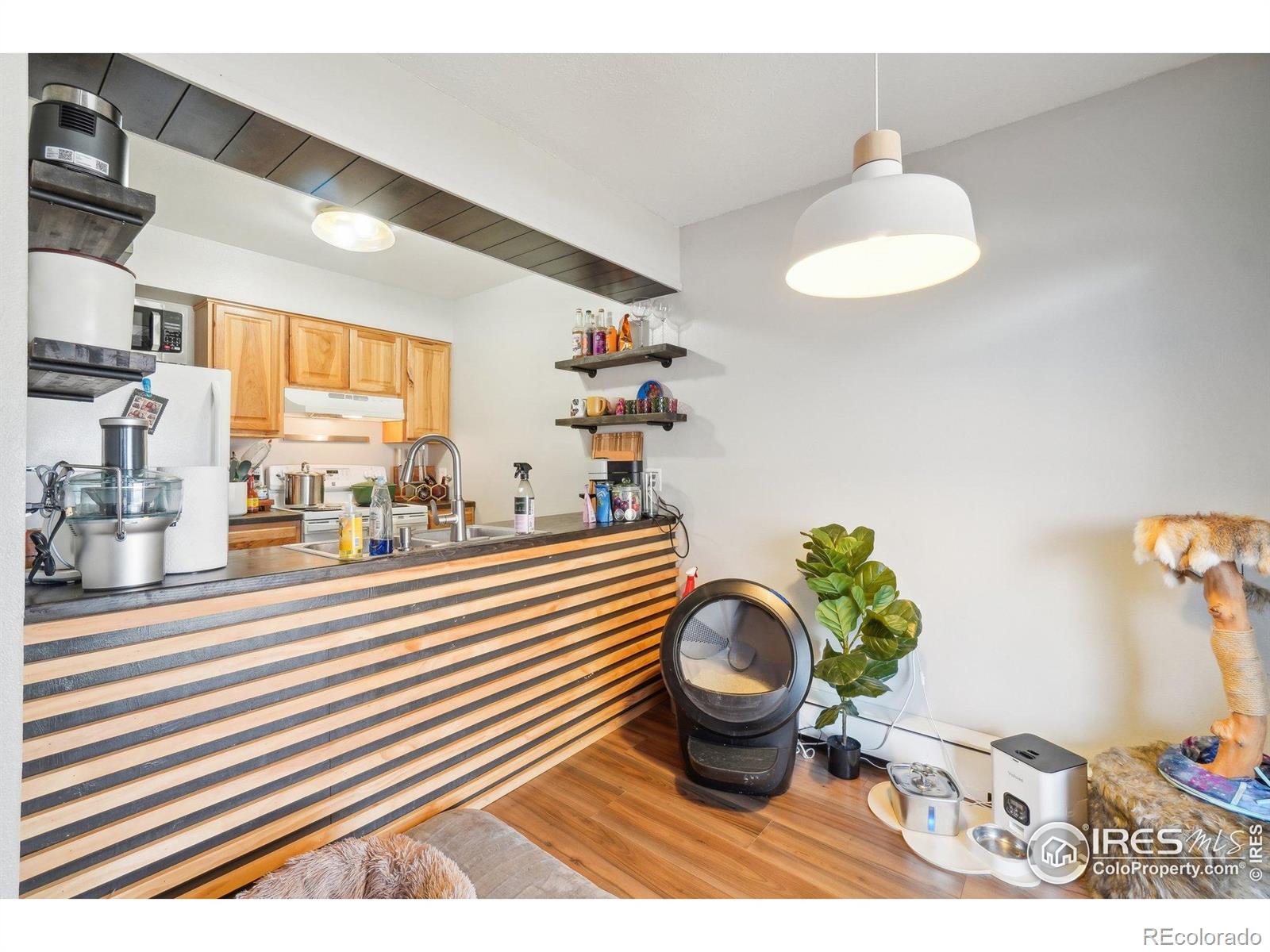 MLS Image #9 for 3431  stover street,fort collins, Colorado