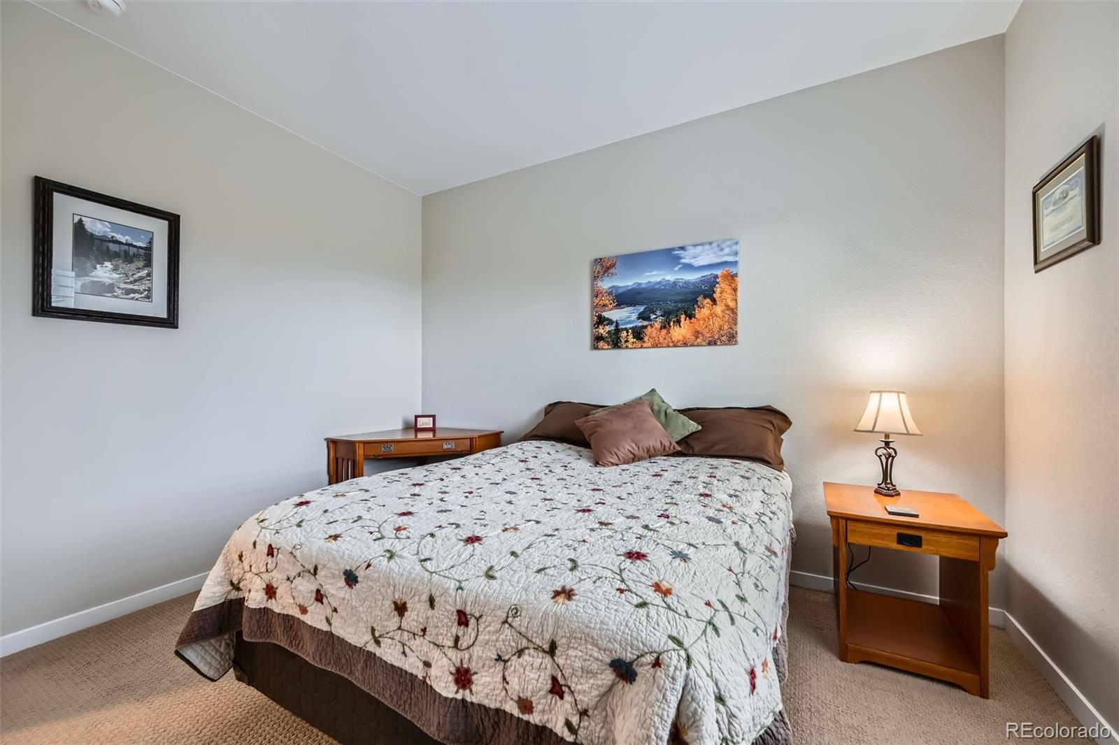MLS Image #19 for 859  equinox drive,erie, Colorado