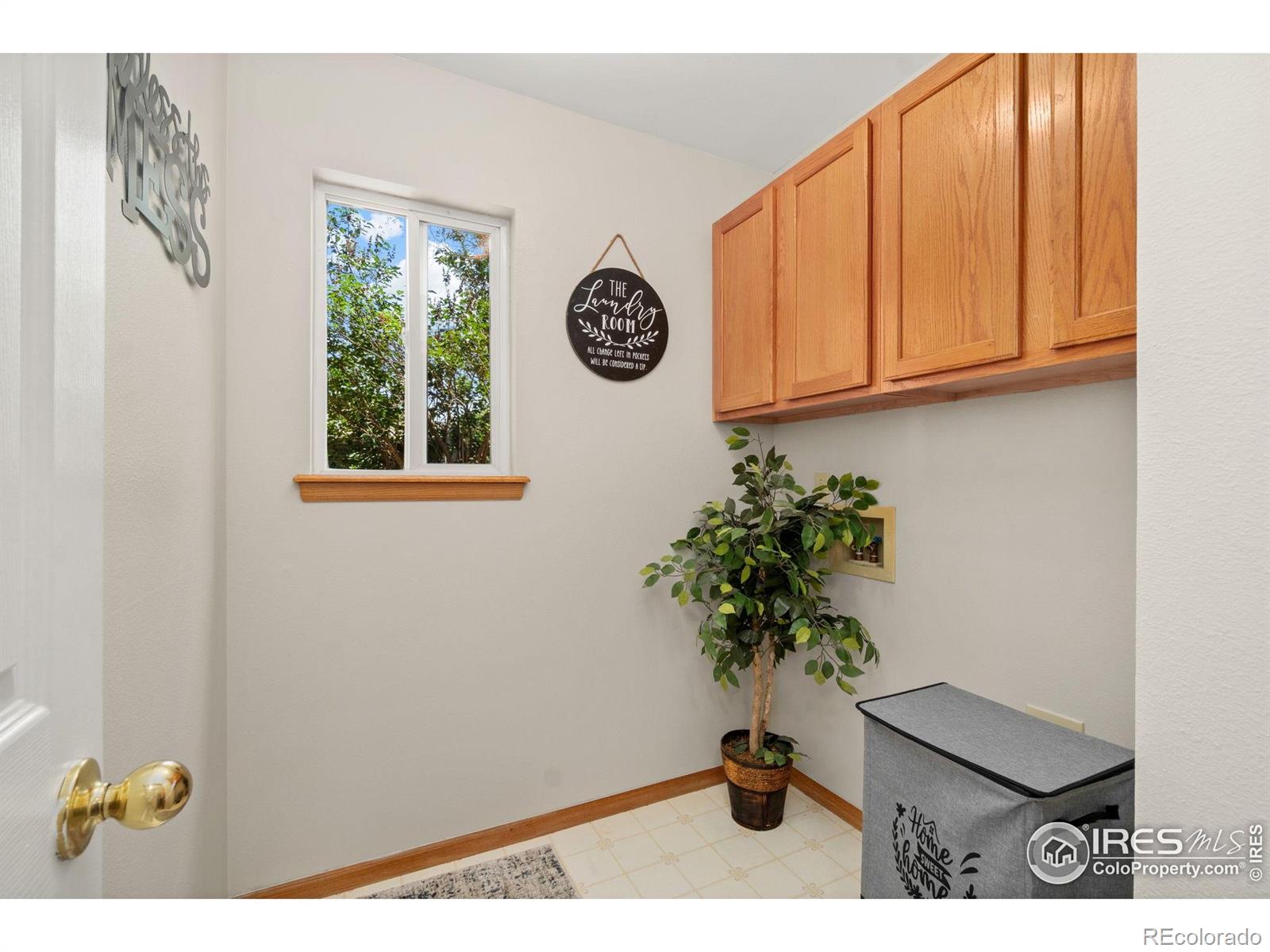 MLS Image #18 for 1202  creekwood court,windsor, Colorado