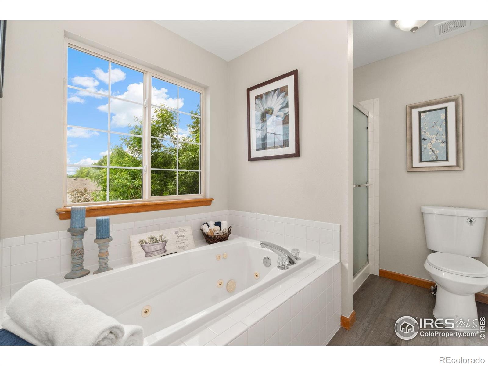 MLS Image #27 for 1202  creekwood court,windsor, Colorado