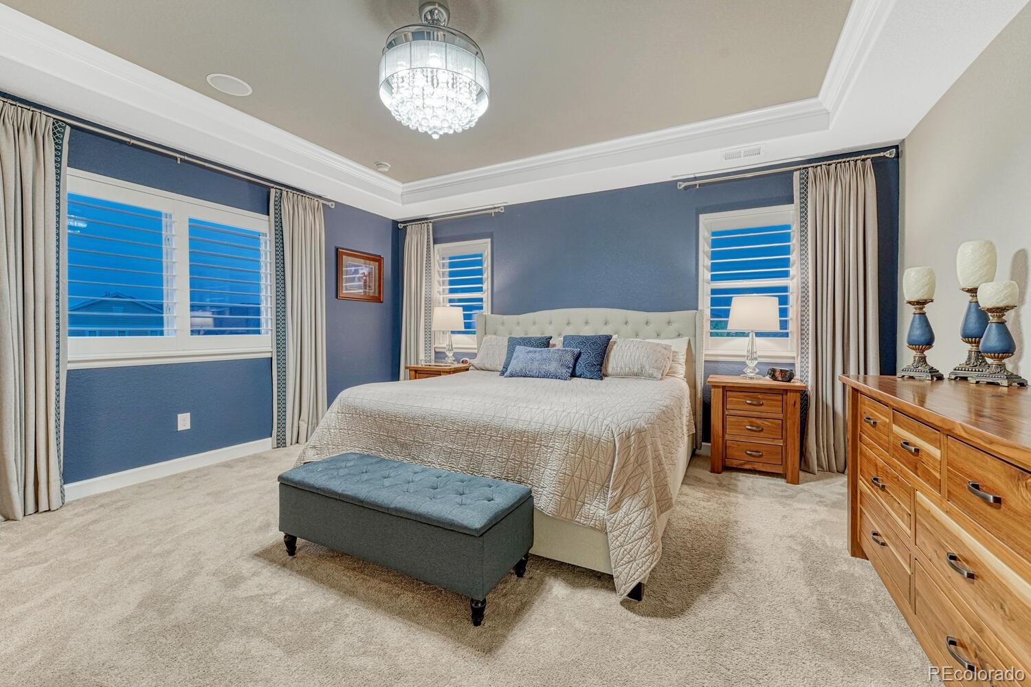 MLS Image #18 for 6470  amur court,castle rock, Colorado