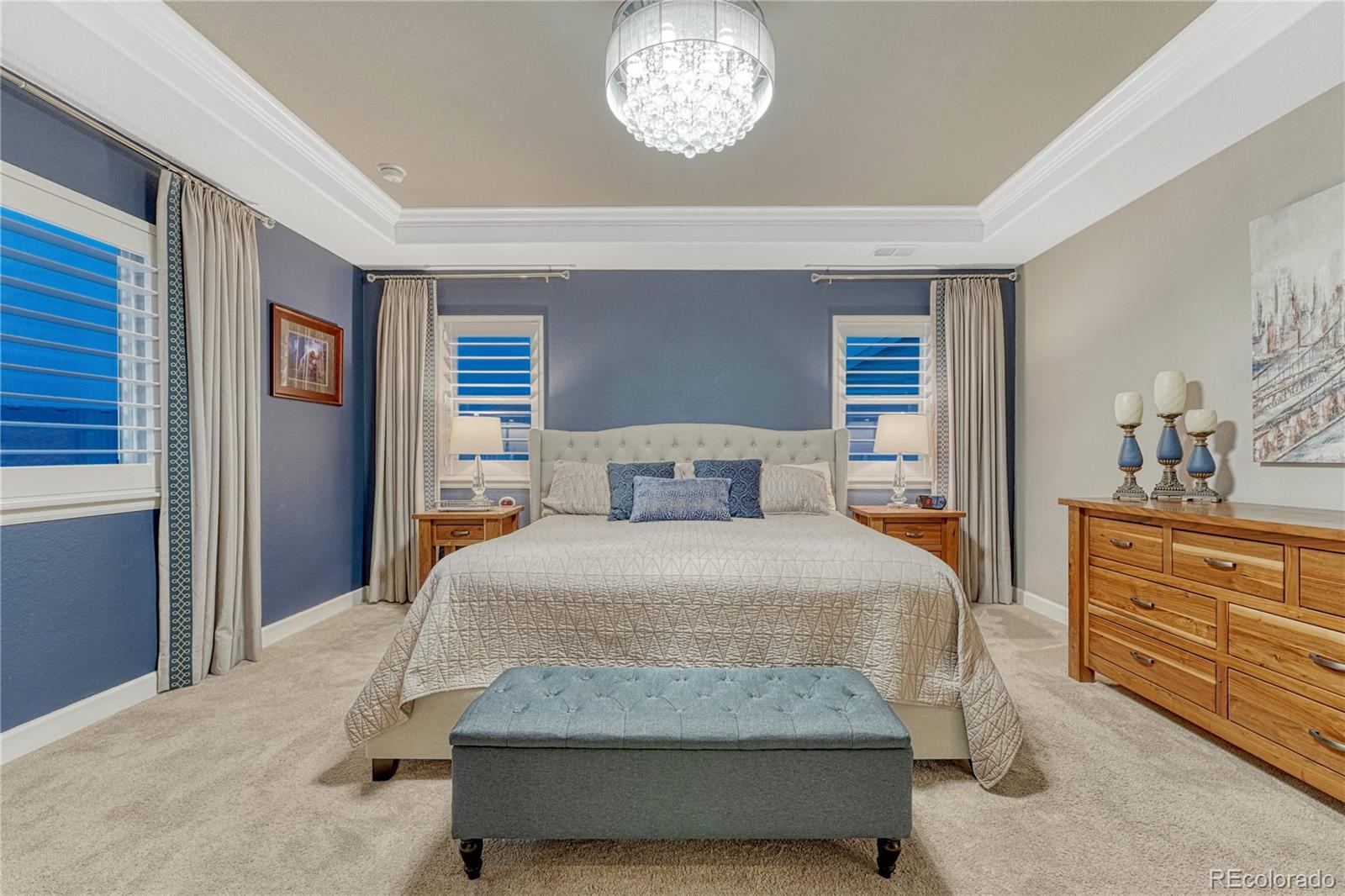 MLS Image #19 for 6470  amur court,castle rock, Colorado