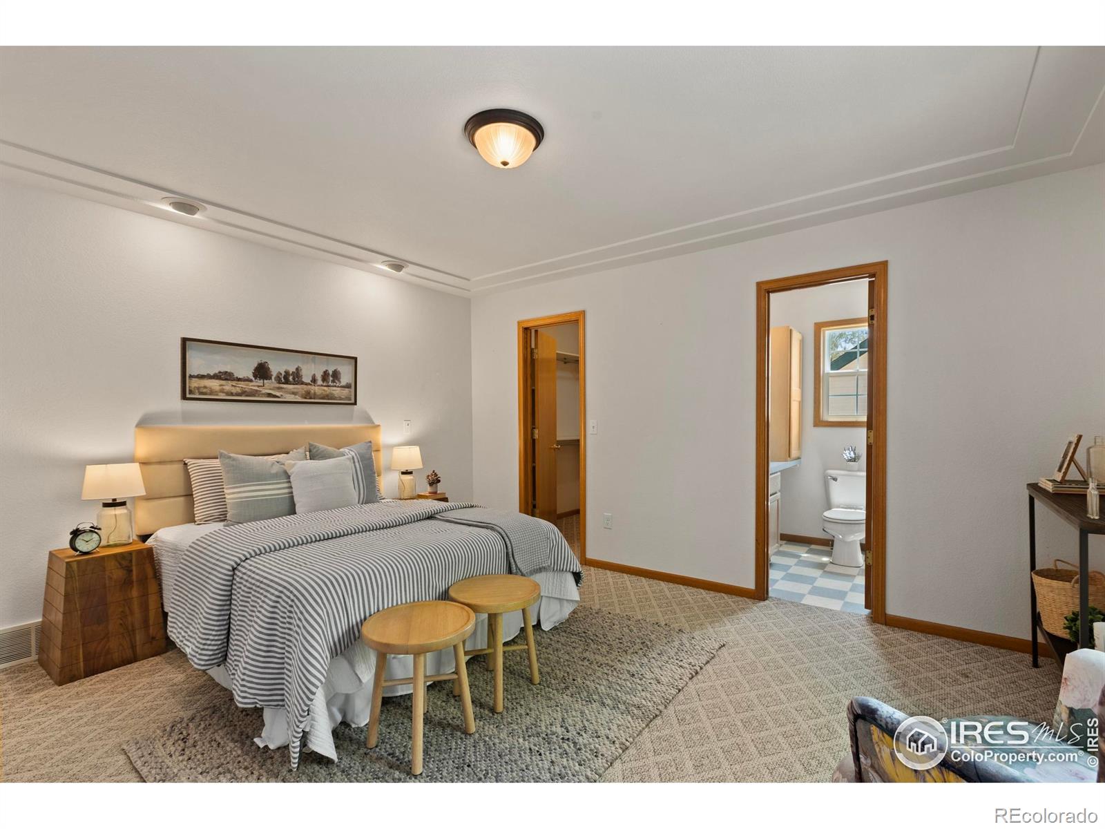 MLS Image #19 for 205 e colorado avenue,berthoud, Colorado
