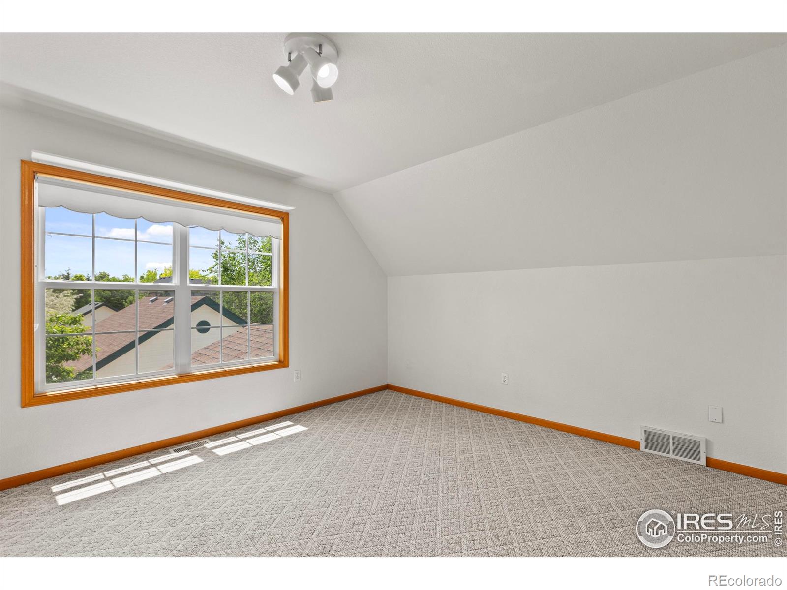 MLS Image #28 for 205 e colorado avenue,berthoud, Colorado