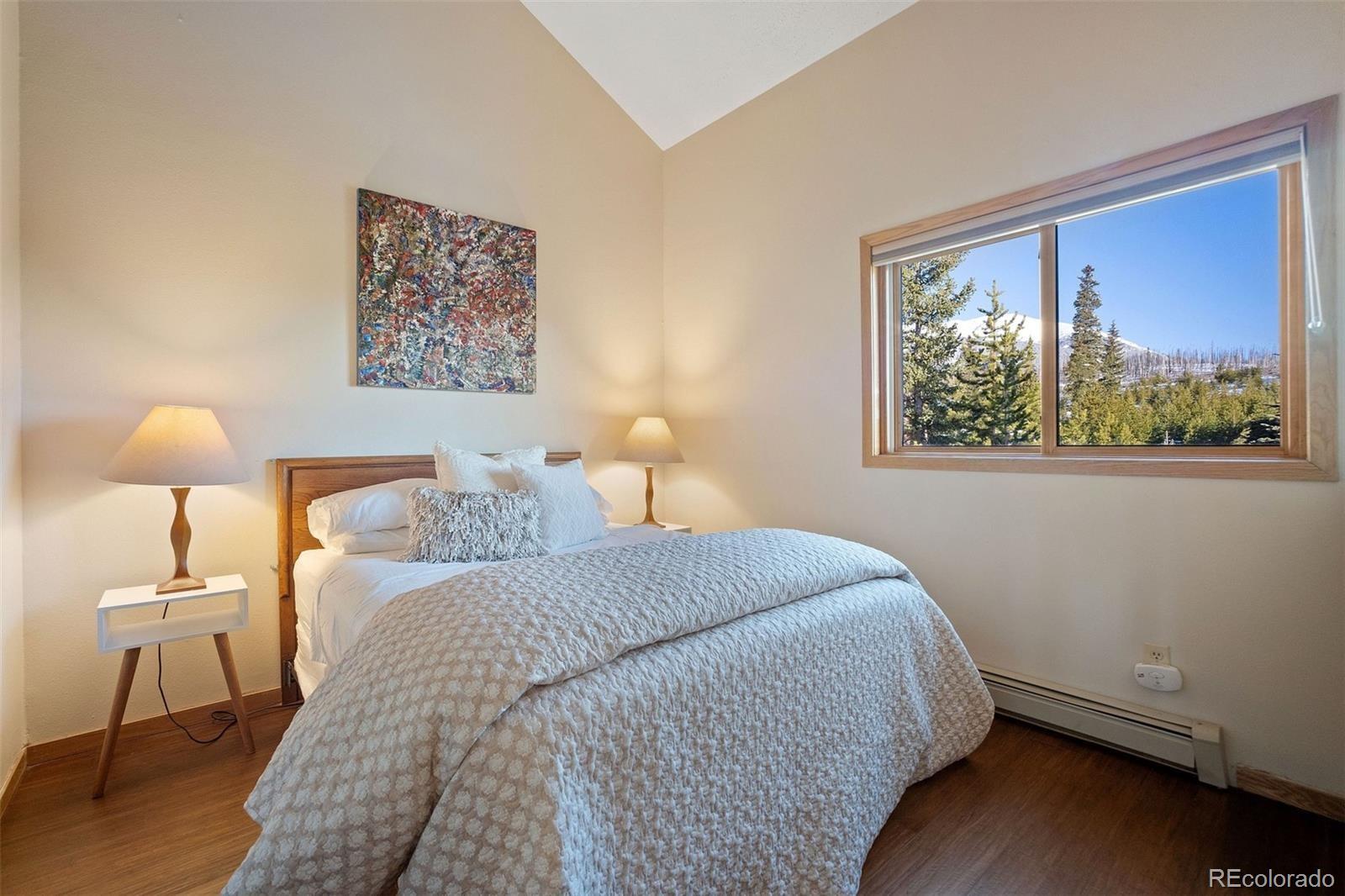 MLS Image #17 for 91400  ryan gulch road,silverthorne, Colorado