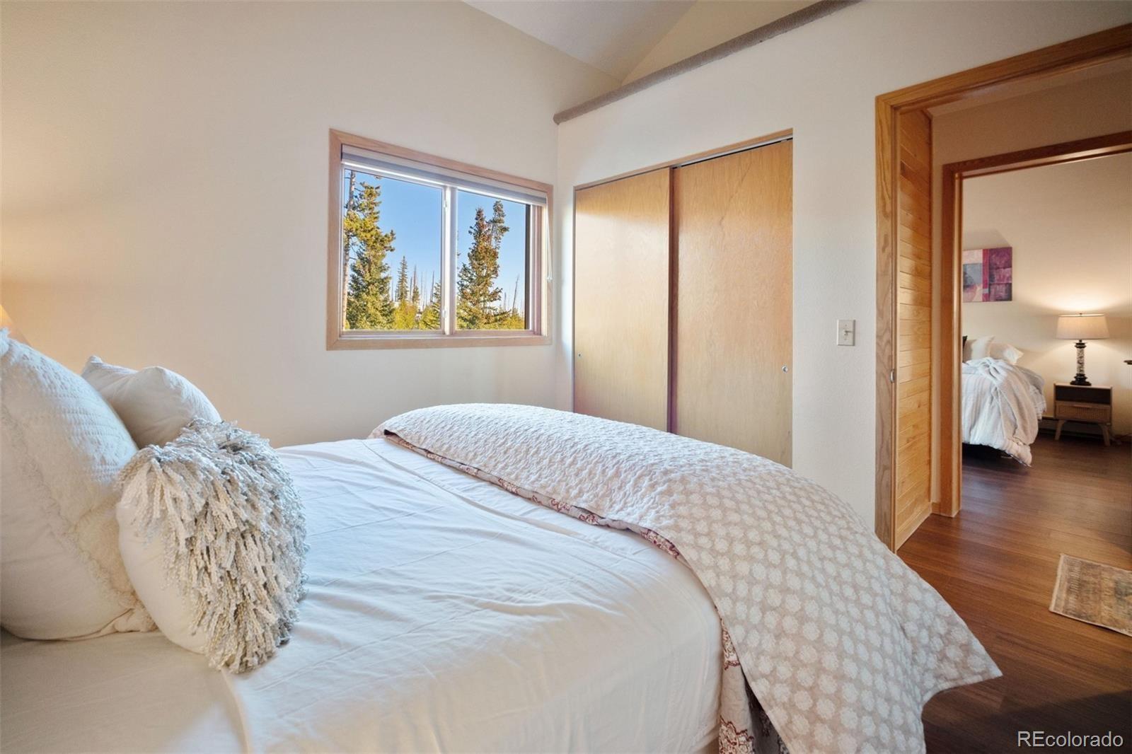 MLS Image #18 for 91400  ryan gulch road,silverthorne, Colorado