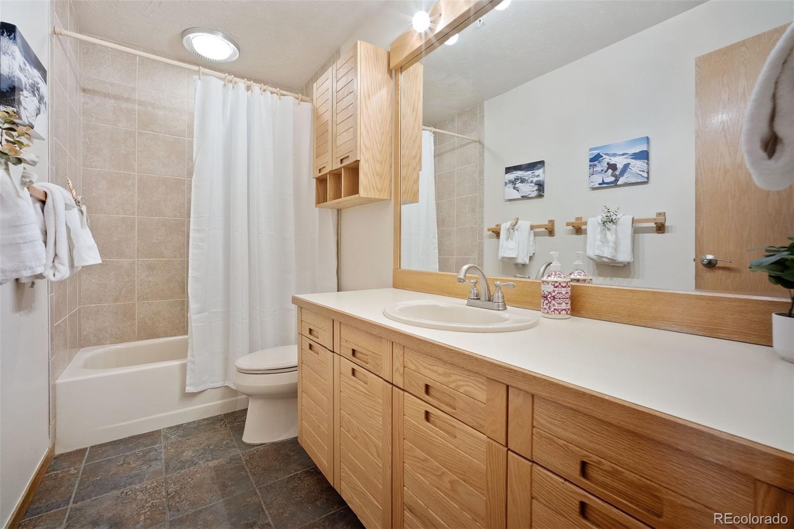 MLS Image #19 for 91400  ryan gulch road,silverthorne, Colorado