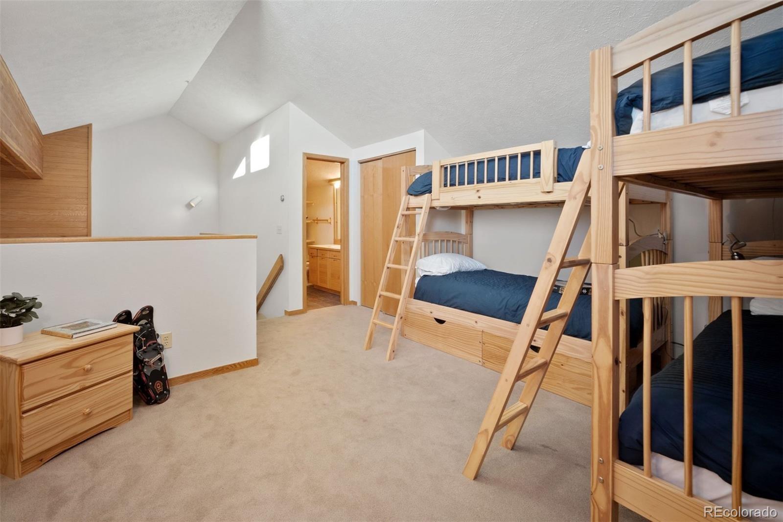 MLS Image #20 for 91400  ryan gulch road,silverthorne, Colorado