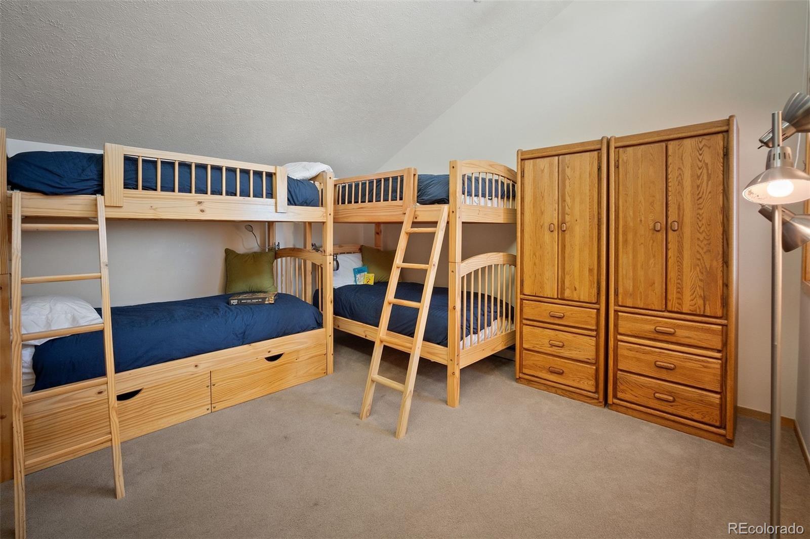 MLS Image #21 for 91400  ryan gulch road,silverthorne, Colorado
