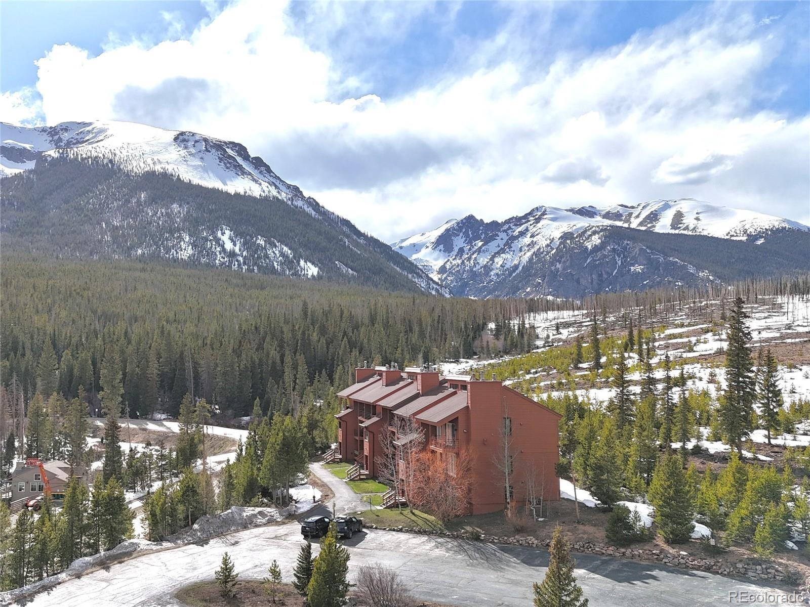MLS Image #28 for 91400  ryan gulch road,silverthorne, Colorado