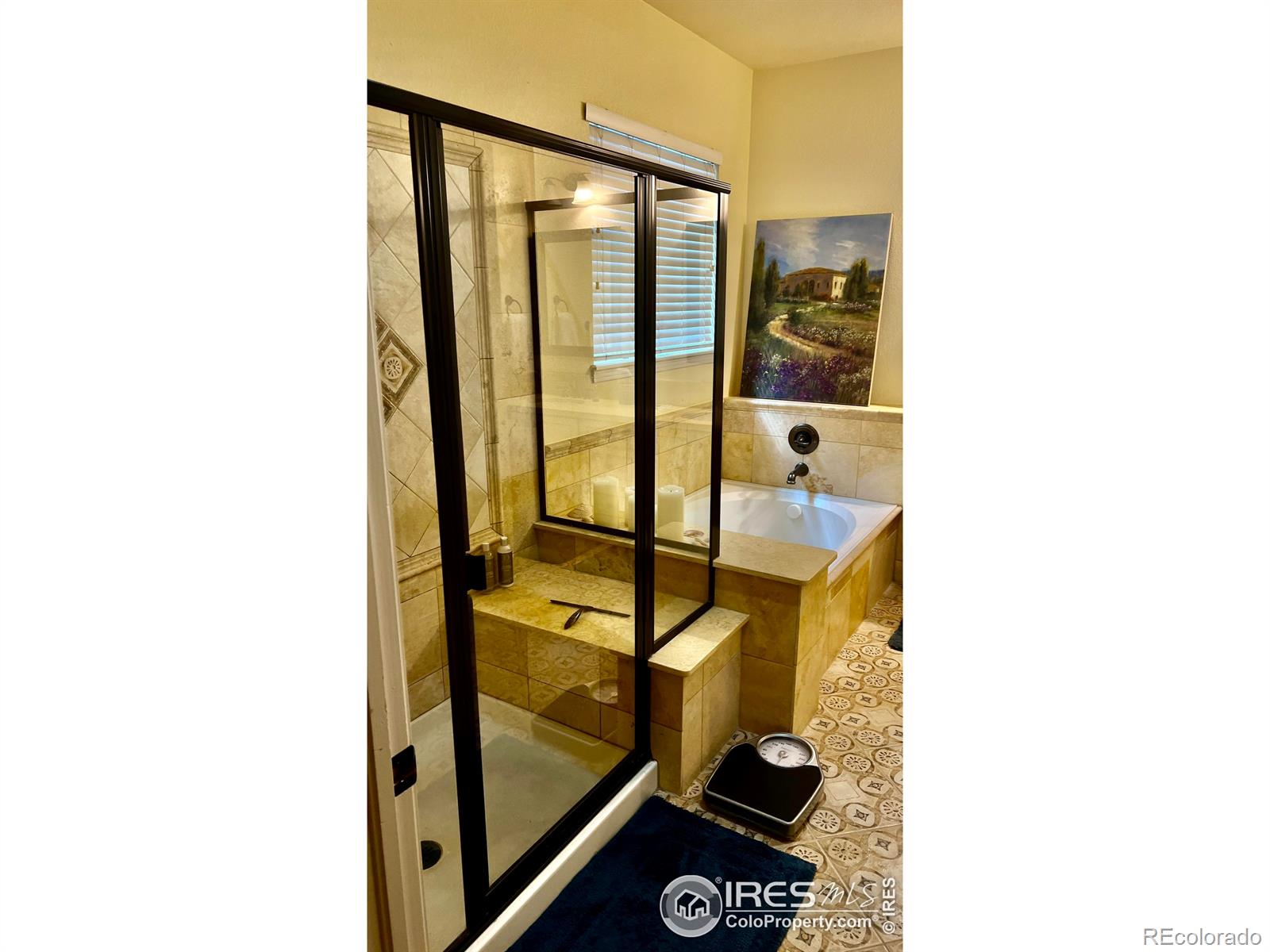MLS Image #18 for 1847  white feather drive,longmont, Colorado