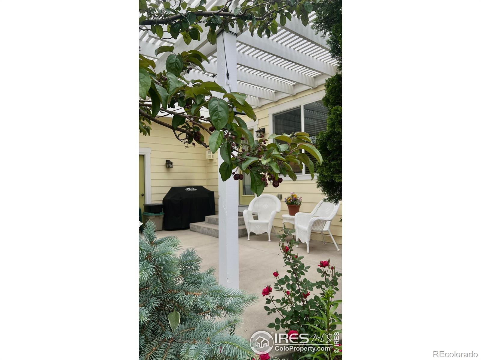 MLS Image #2 for 1847  white feather drive,longmont, Colorado