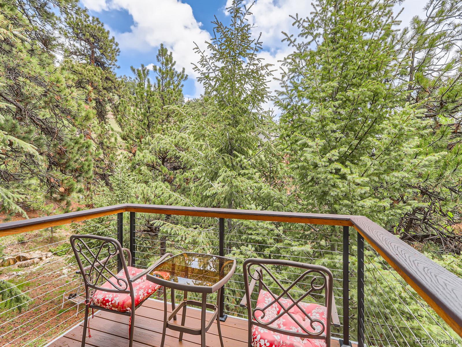 MLS Image #19 for 7273  silverhorn drive,evergreen, Colorado