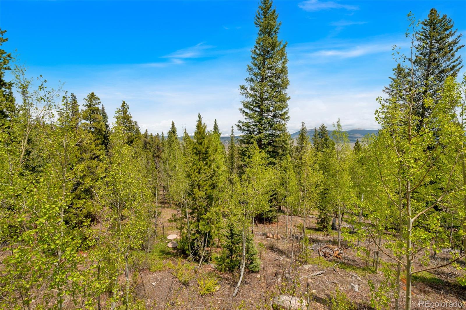 MLS Image #36 for 433  fremont knoll lane,jefferson, Colorado