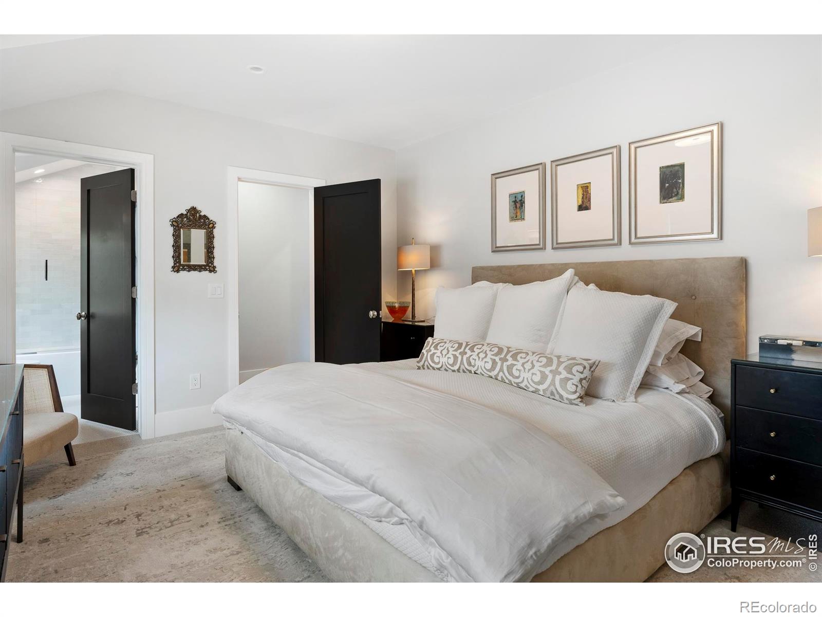 MLS Image #21 for 315  fairfax street,denver, Colorado