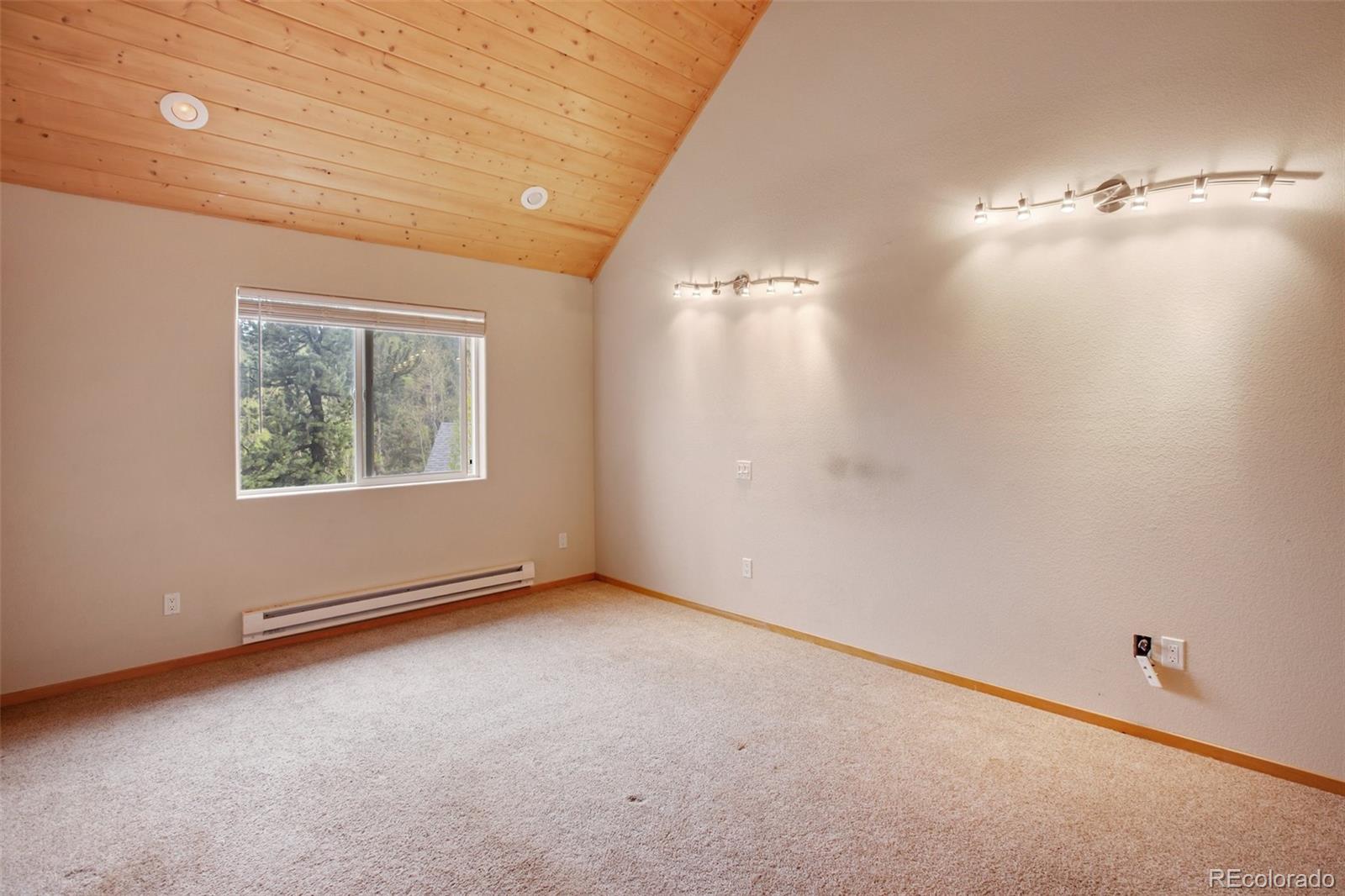 MLS Image #16 for 50  dakota lane,woodland park, Colorado