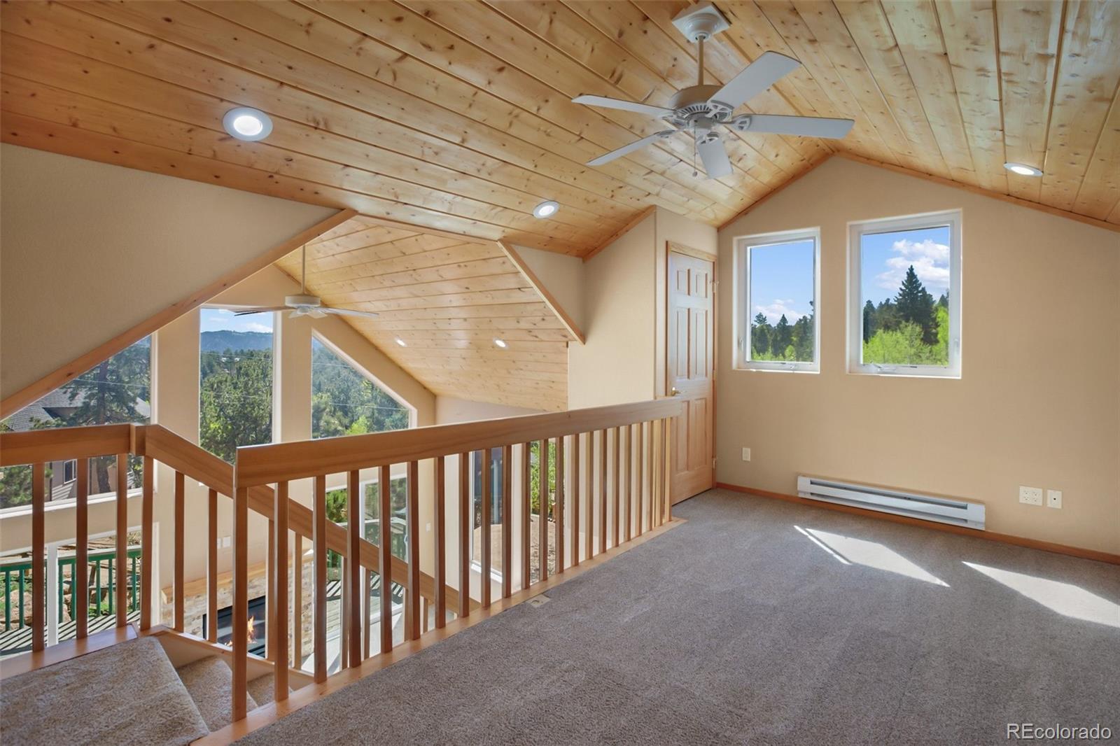 MLS Image #20 for 50  dakota lane,woodland park, Colorado