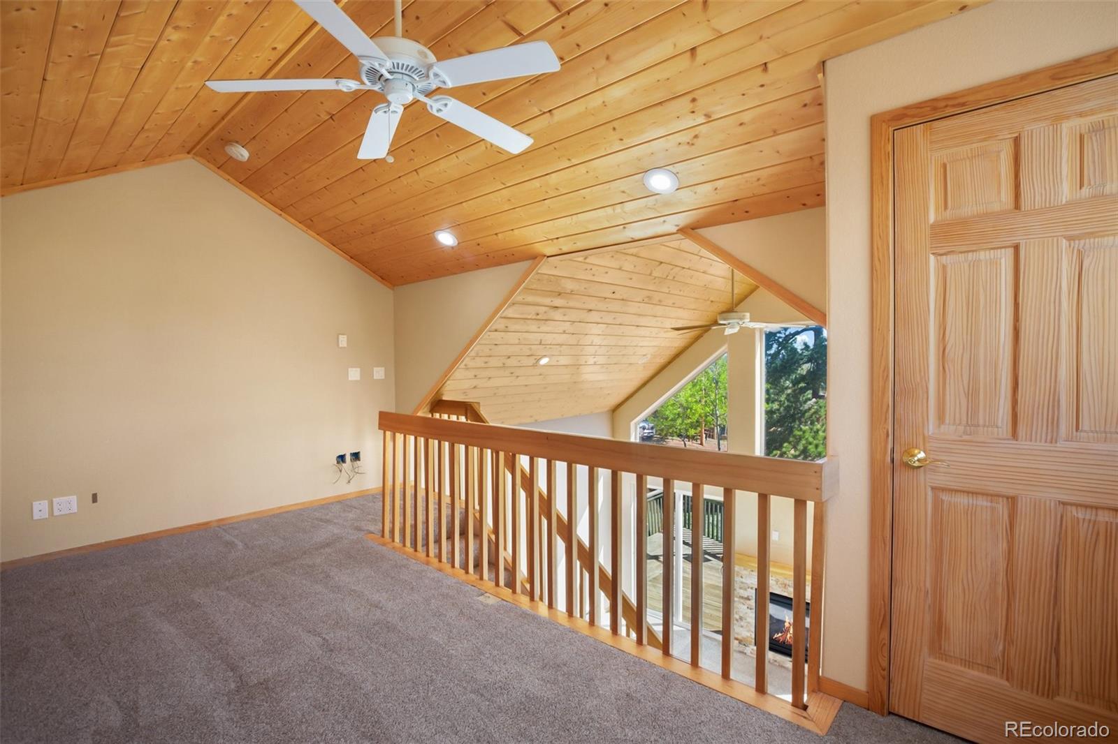 MLS Image #21 for 50  dakota lane,woodland park, Colorado