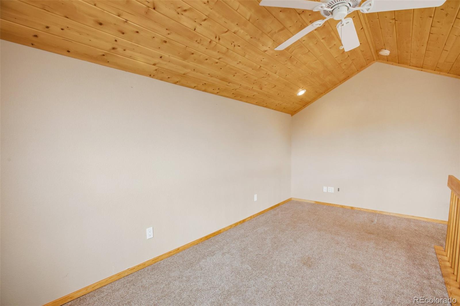 MLS Image #23 for 50  dakota lane,woodland park, Colorado