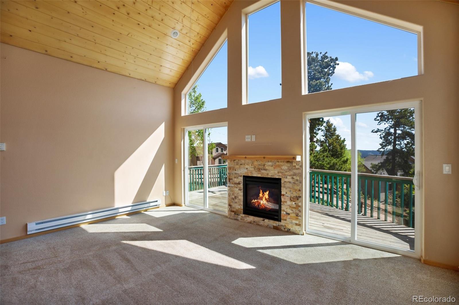 MLS Image #4 for 50  dakota lane,woodland park, Colorado