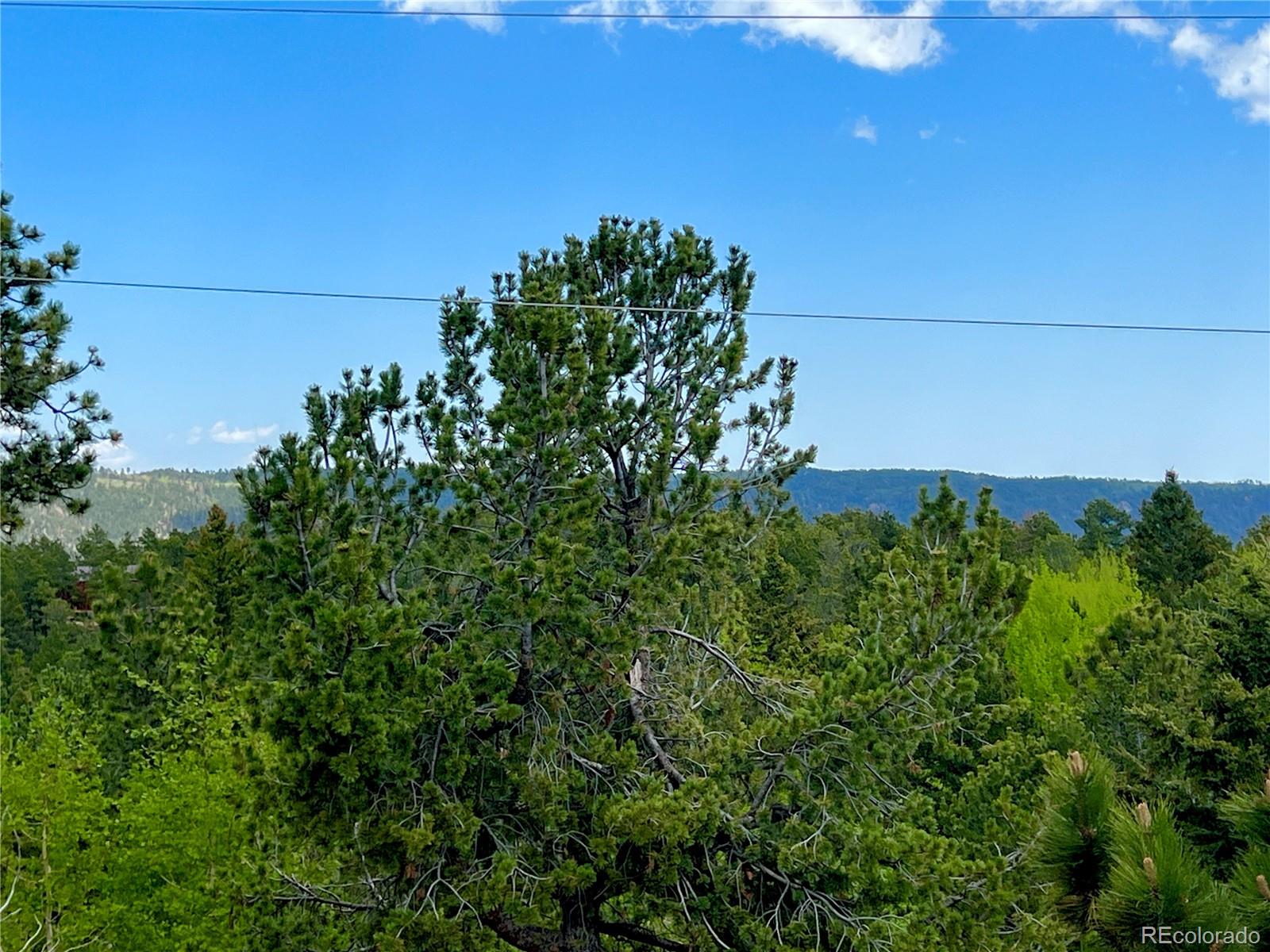 MLS Image #48 for 50  dakota lane,woodland park, Colorado