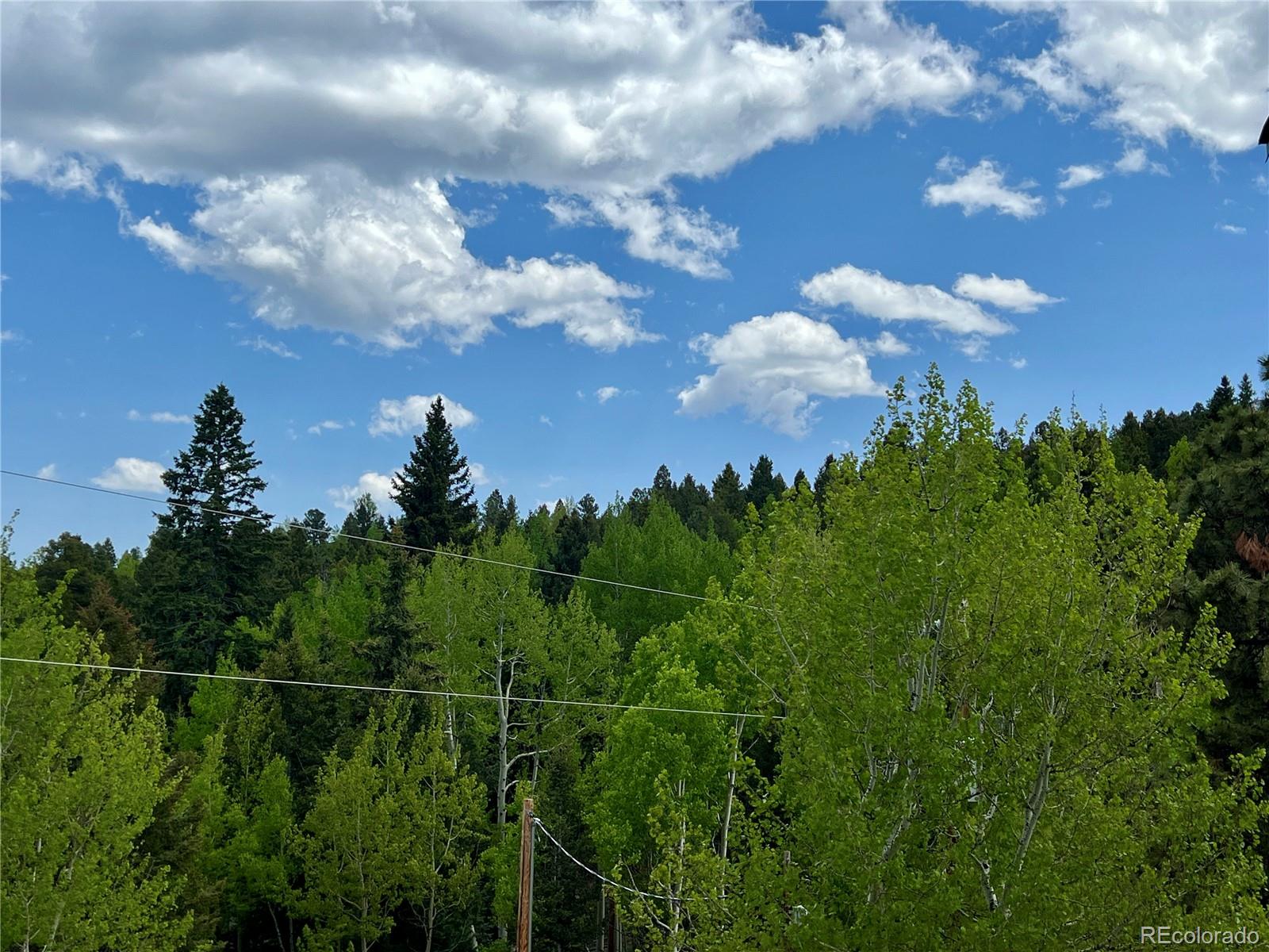 MLS Image #49 for 50  dakota lane,woodland park, Colorado