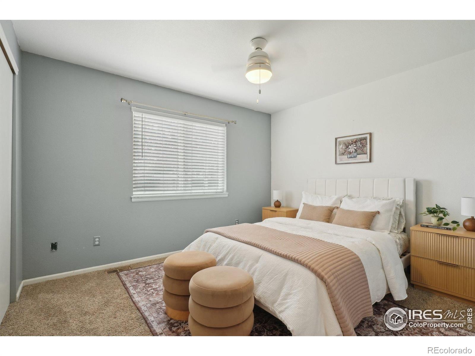MLS Image #18 for 315  laurel avenue,eaton, Colorado