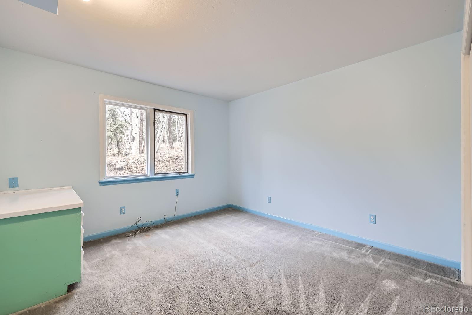 MLS Image #20 for 26167  de berry street,conifer, Colorado