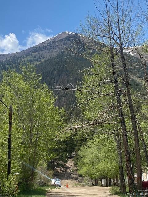 MLS Image #27 for 149  lang street,twin lakes, Colorado