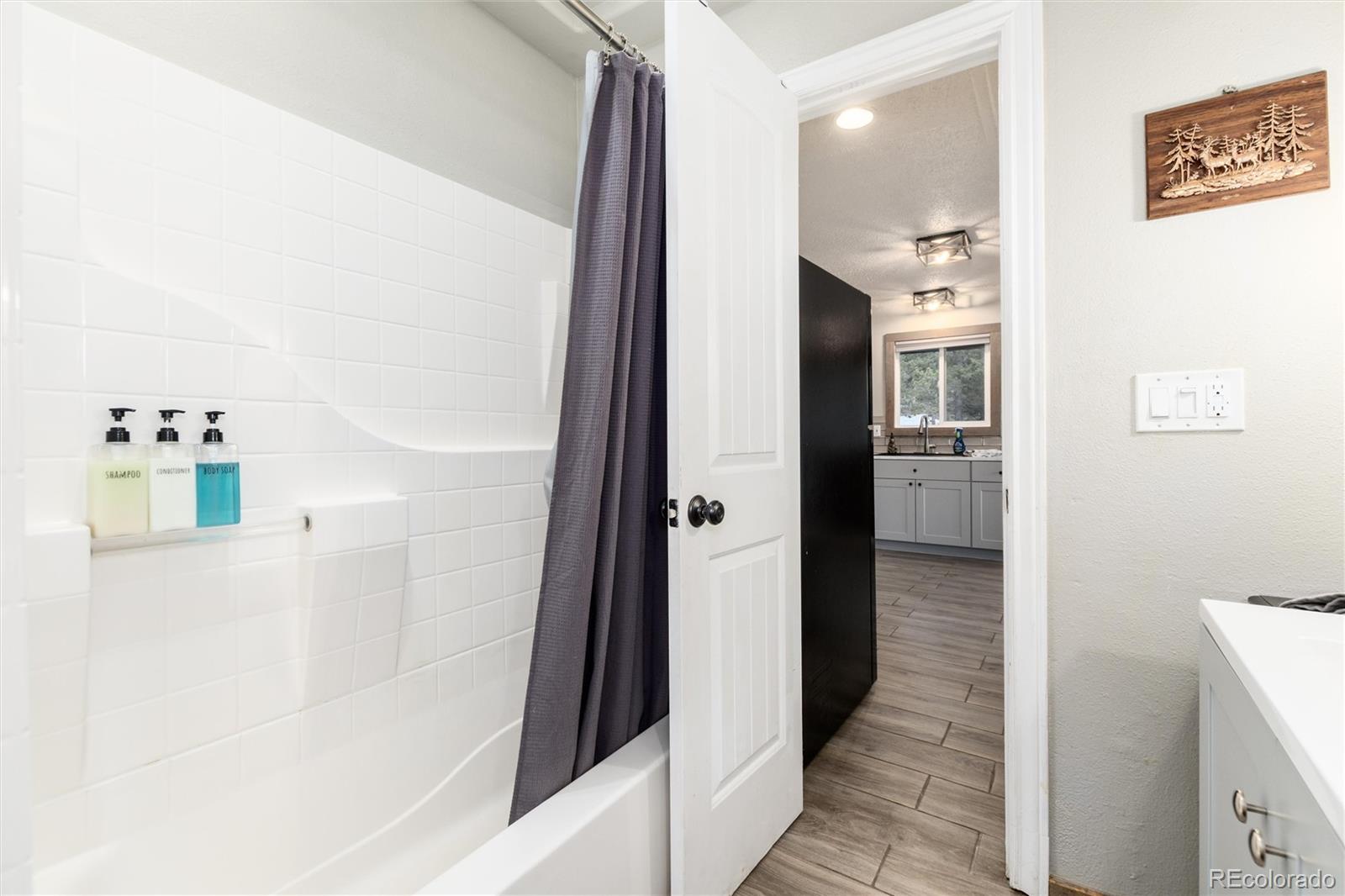 MLS Image #20 for 159  lake road,idaho springs, Colorado