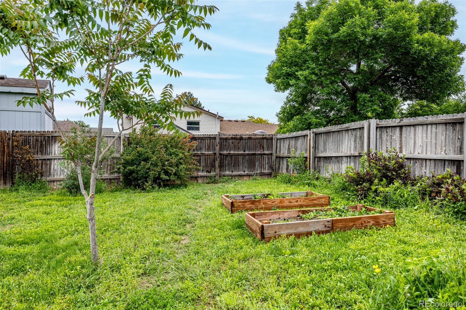 MLS Image #13 for 11886  birch drive,thornton, Colorado