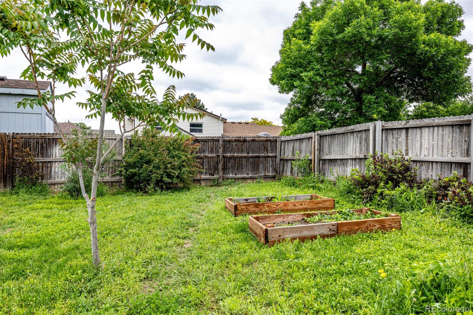 MLS Image #31 for 11886  birch drive,thornton, Colorado