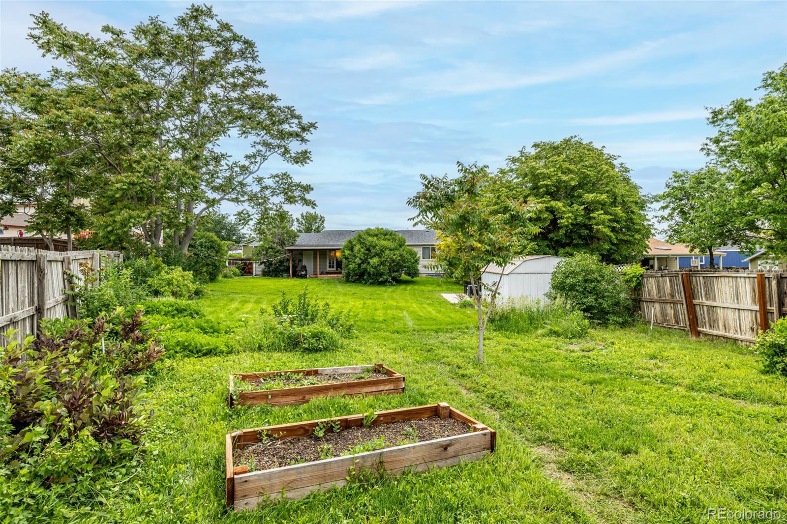 MLS Image #6 for 11886  birch drive,thornton, Colorado