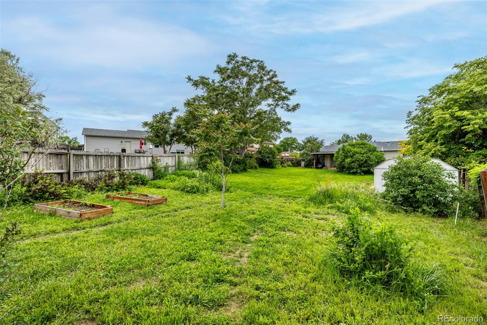 MLS Image #8 for 11886  birch drive,thornton, Colorado