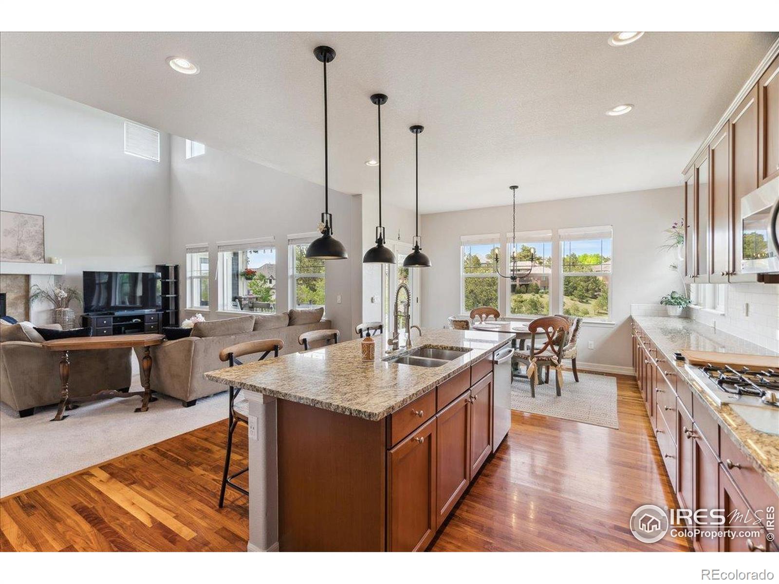 MLS Image #10 for 24725 e dry creek place,aurora, Colorado
