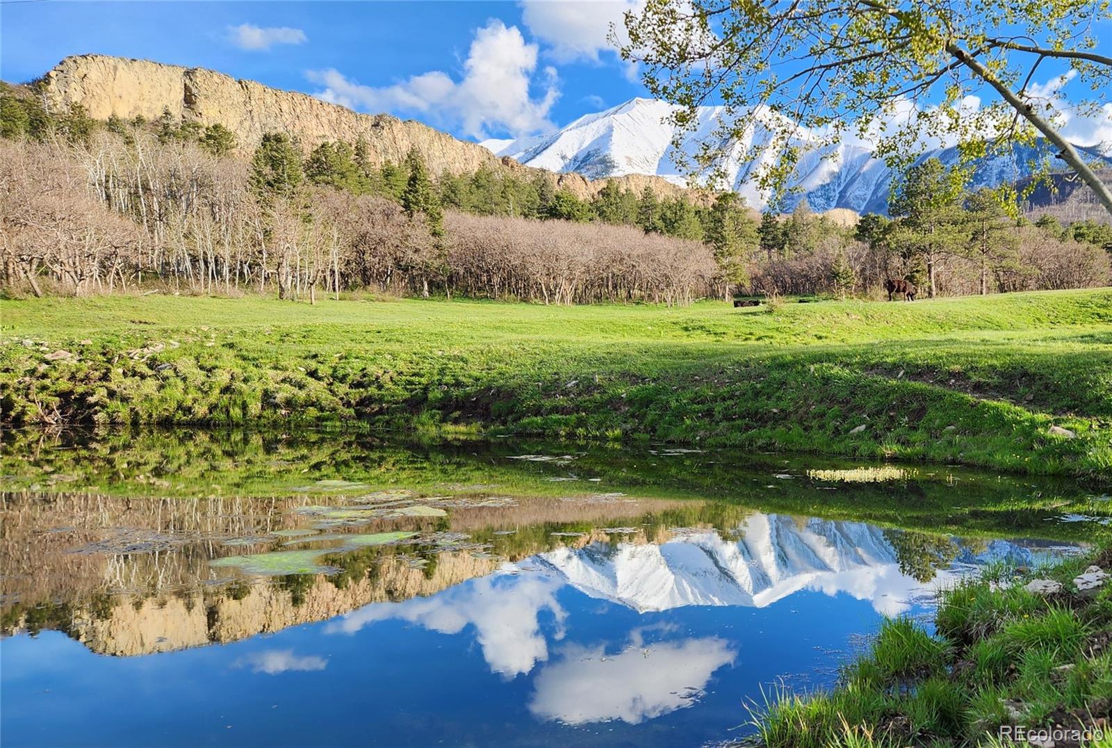 MLS Image #1 for 14500  county road 340 ,walsenburg, Colorado