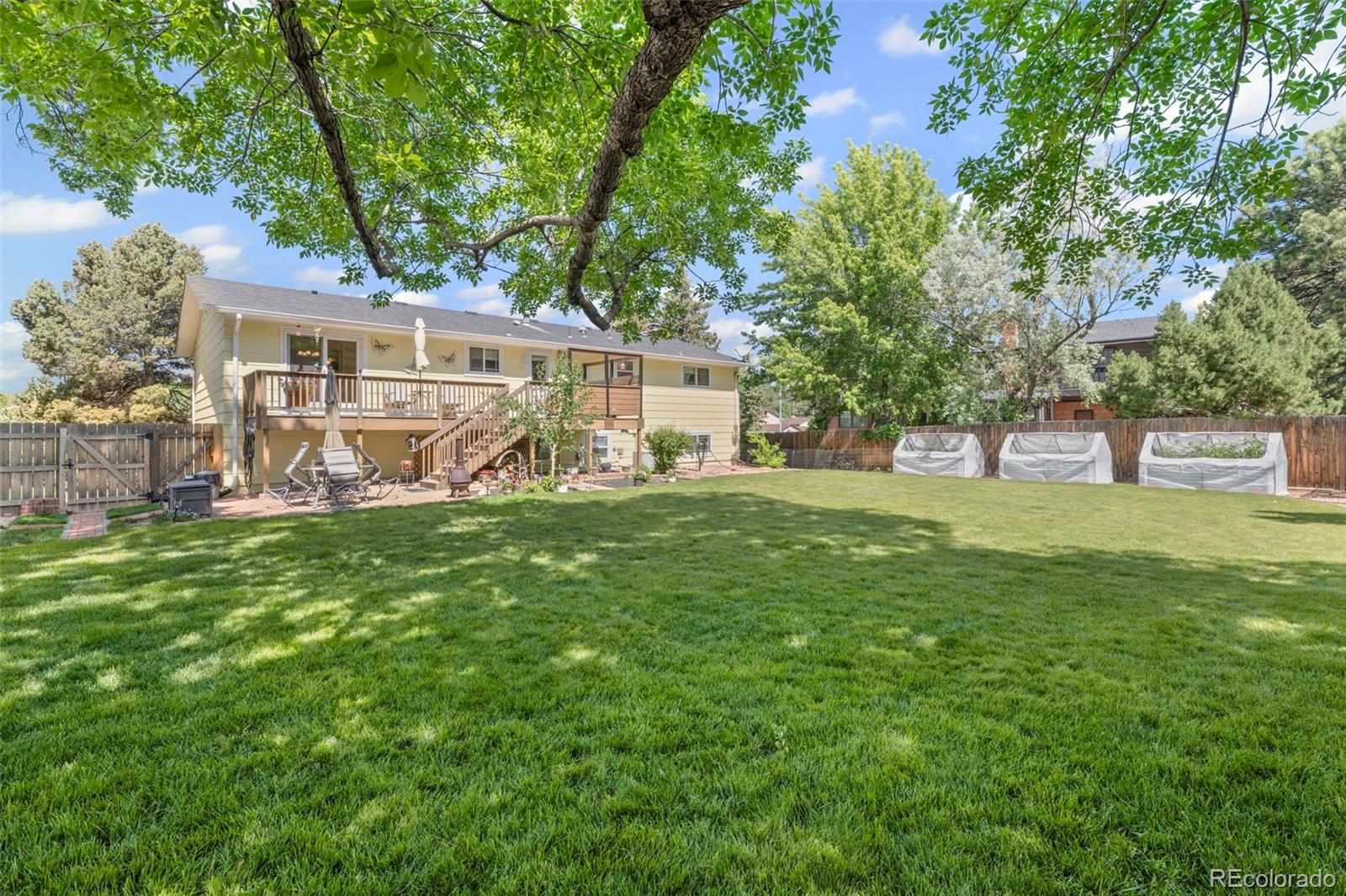 MLS Image #5 for 2315 n murray boulevard,colorado springs, Colorado
