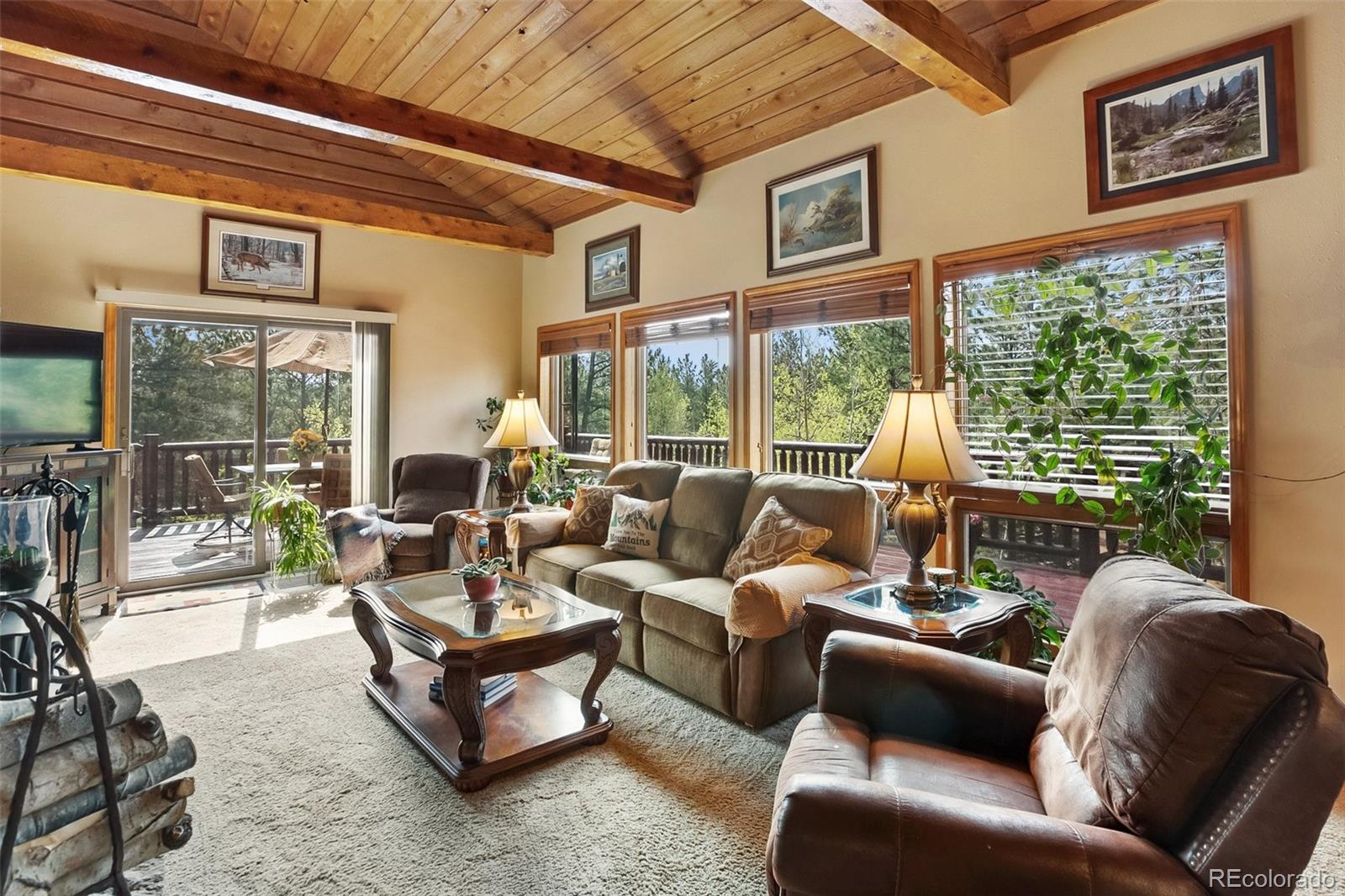 MLS Image #10 for 381  saddleback creek drive,florissant, Colorado