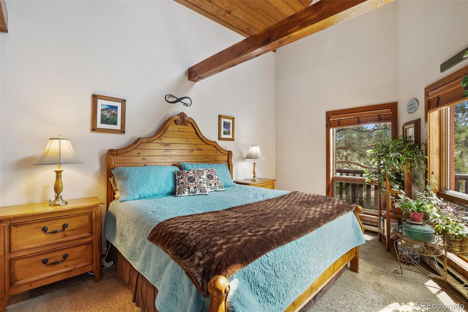 MLS Image #19 for 381  saddleback creek drive,florissant, Colorado
