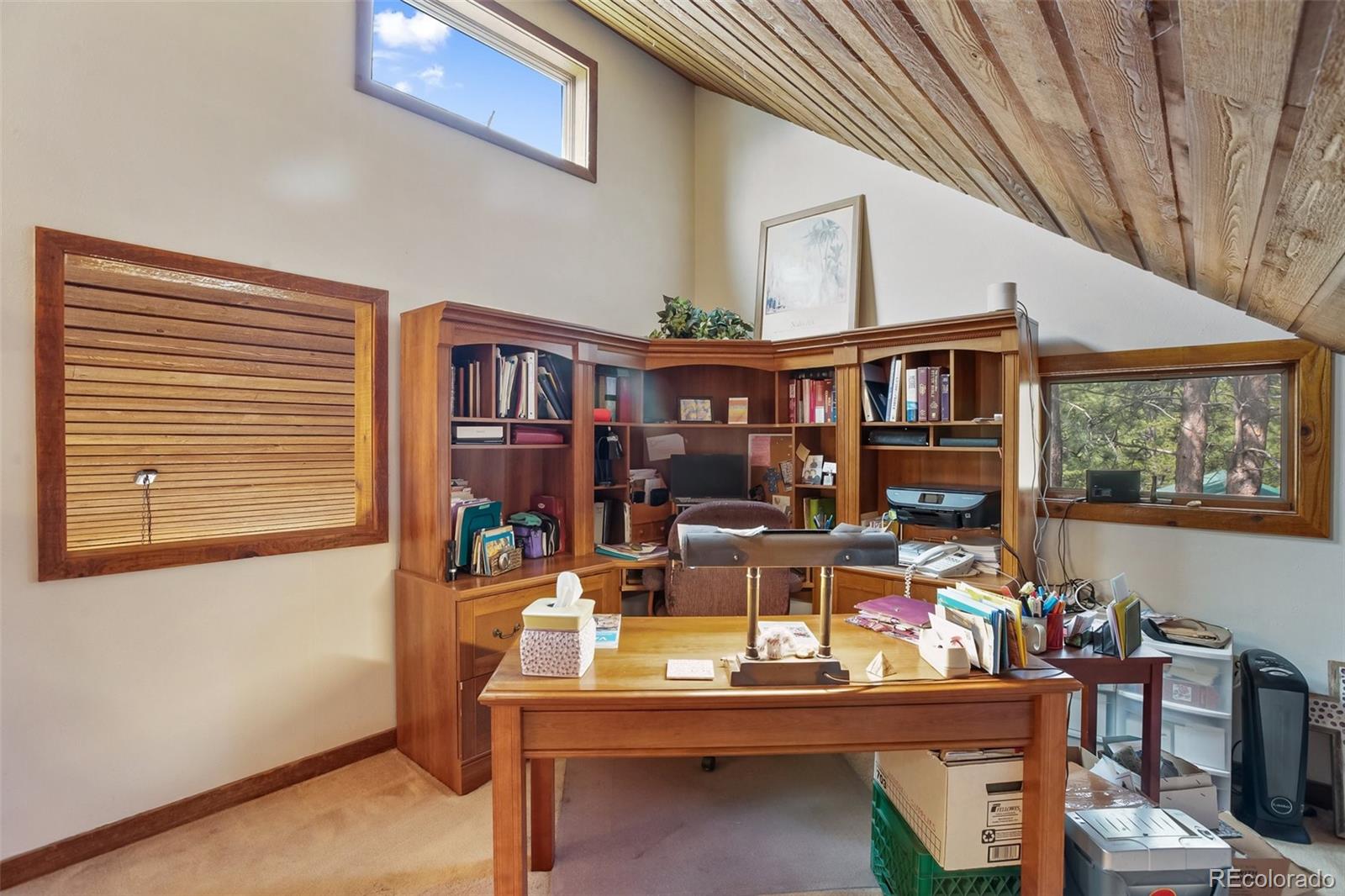 MLS Image #22 for 381  saddleback creek drive,florissant, Colorado
